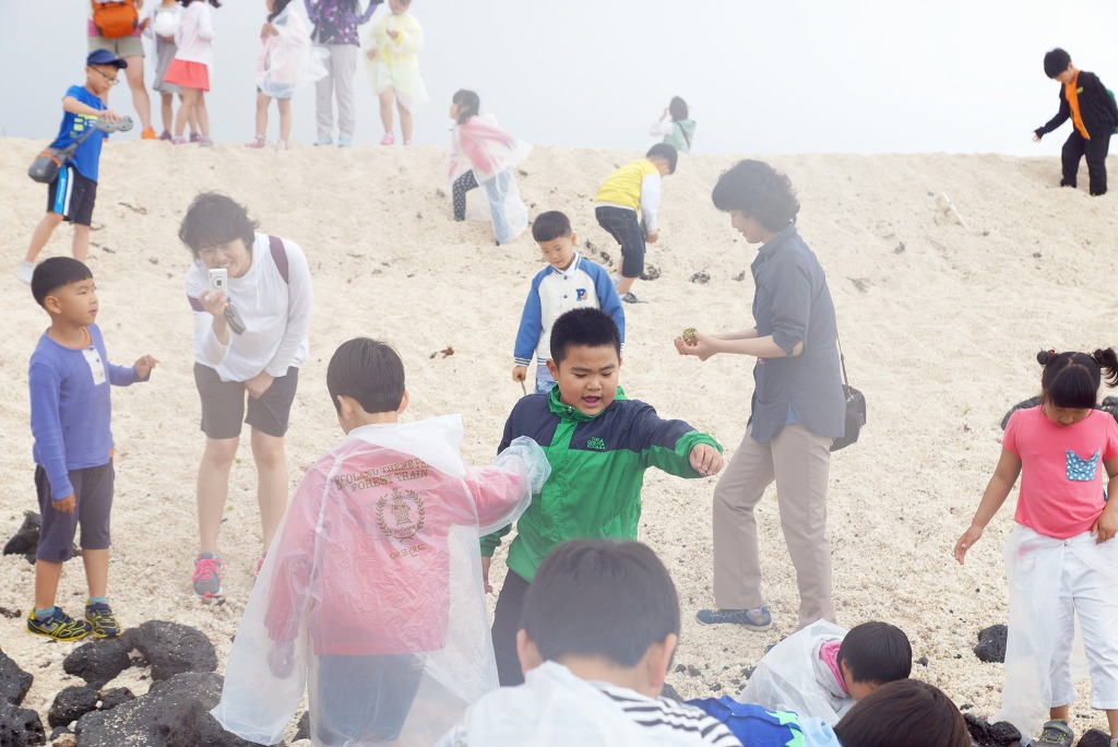 모항초등학교 이미지