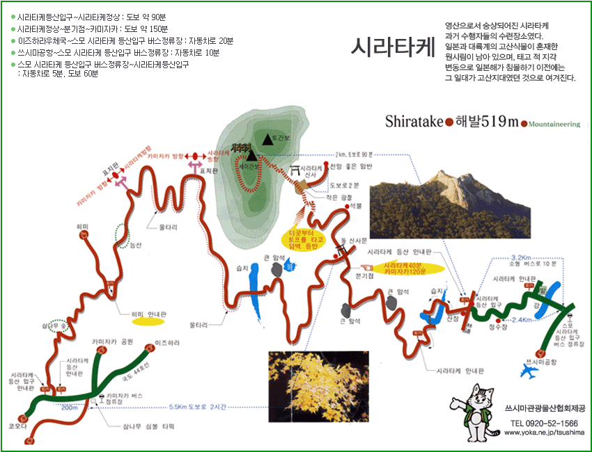 대마도투어주 이미지
