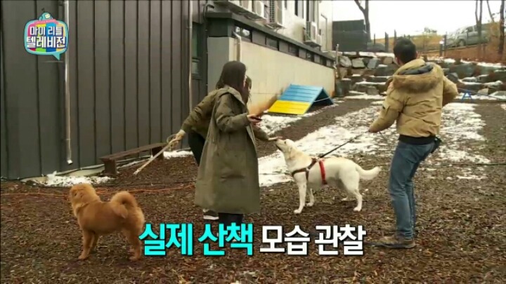 [마리텔] 조련당하는 민아 | 인스티즈
