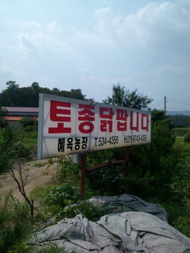 혜옥이네 이미지