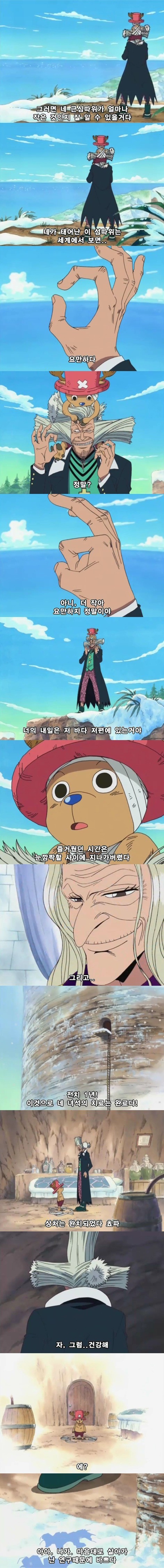 개인적으로 생각하는 원피스 에피소드 중 가장 슬픈 에피소드 | 인스티즈