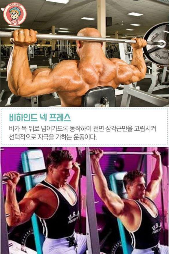 어깨 넓어지는 운동법.jpg | 인스티즈