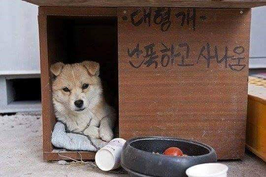 고향 내려가면 조심해야 할 것 | 인스티즈
