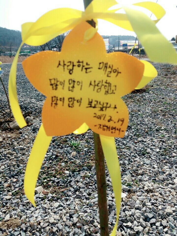 창녕 매실이 이야기를 아시나요?개소주가 되어서 돌아온 우리 매실이를 기억해주세요. 동물보호법강화를 위해 관심가져주세요 | 인스티즈