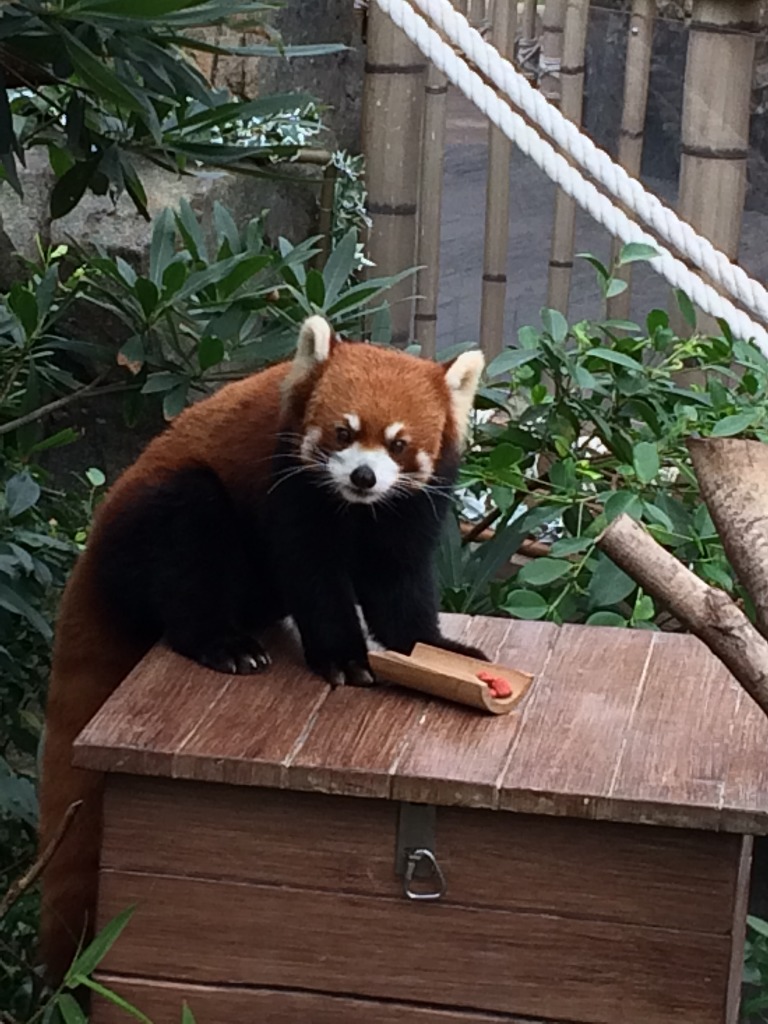 남들만 가는 줄 알았던 외국여행 저도 한 번 갔다옴 ㅎㅎㅎ | 인스티즈