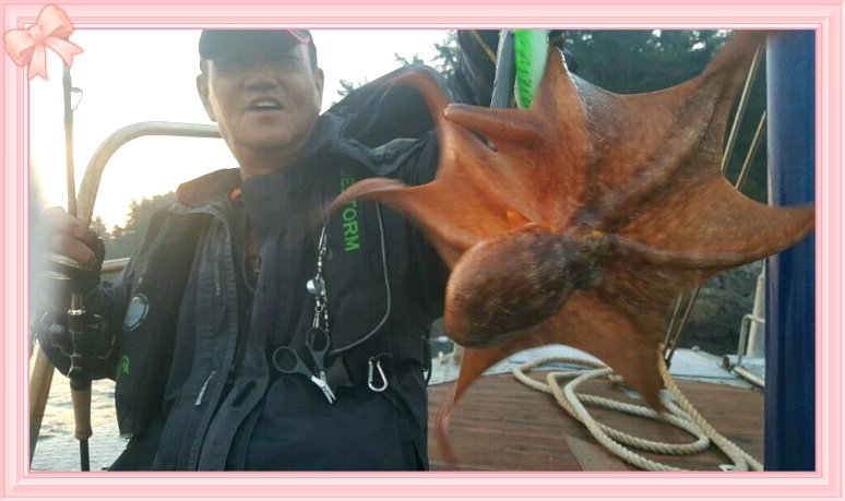 2636D7495802066215EFDA