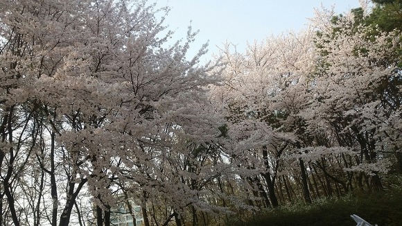 화심 이미지