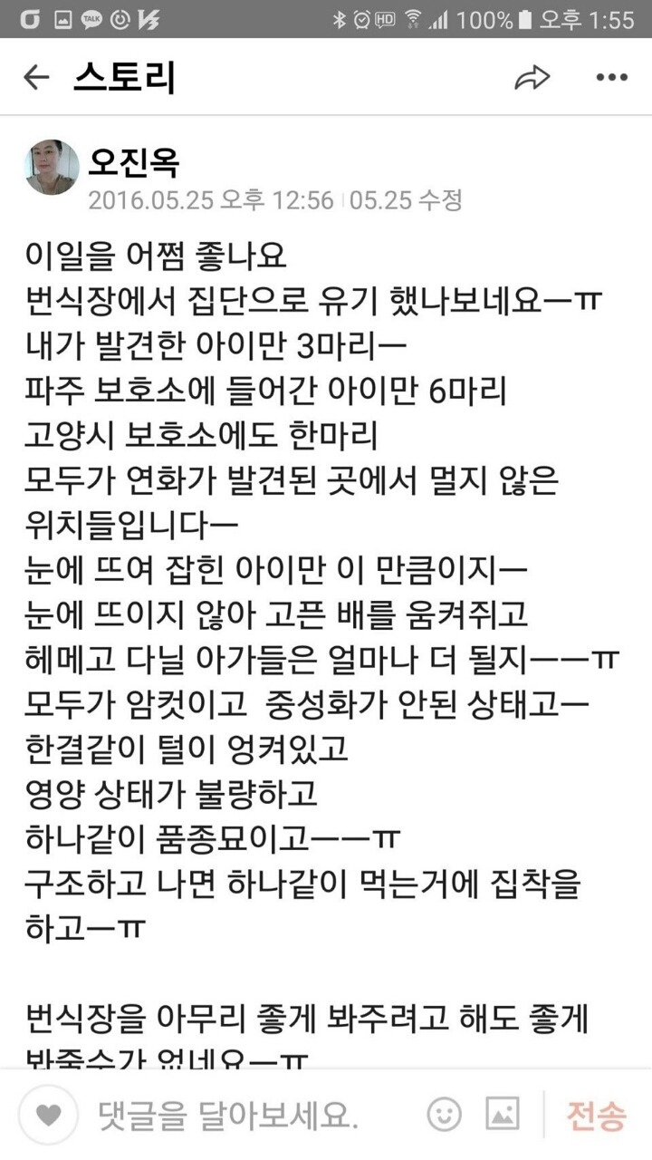 초초초시룸 장기사진 있음) 발정유도제에 불법 제왕절개된 고양이의 장기 | 인스티즈