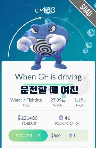 천조국의 흔한 포켓몬고 작명.jpg | 인스티즈