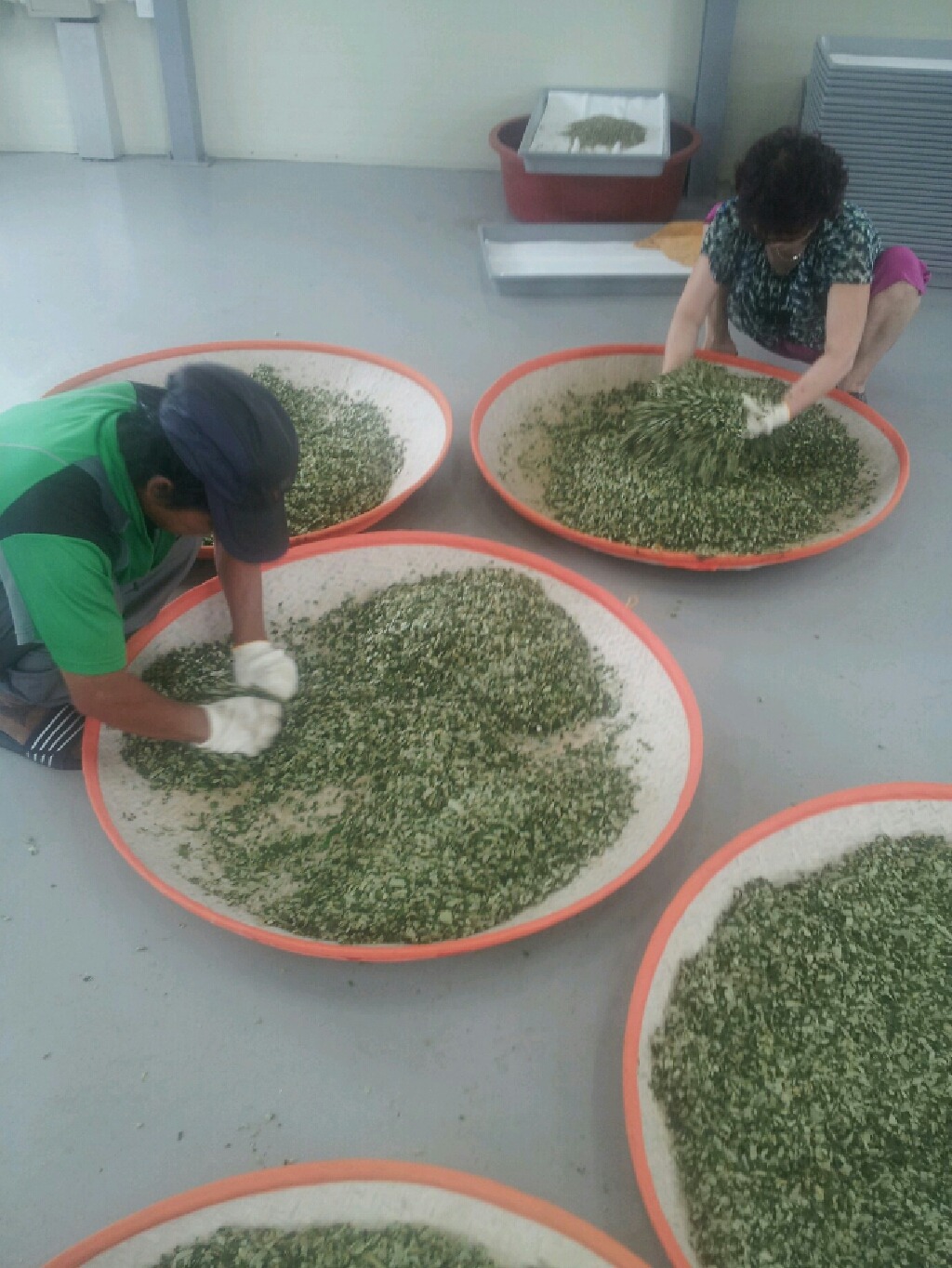 와라쉼터 이미지