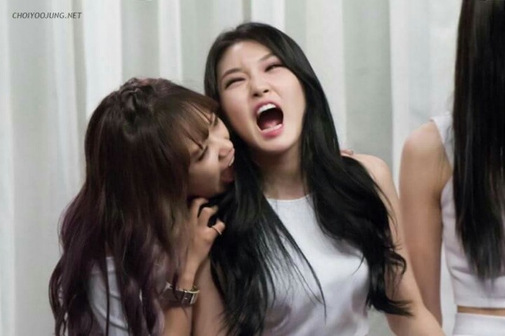 술시 이미지