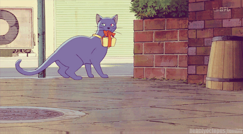 2D 고양이 | 인스티즈