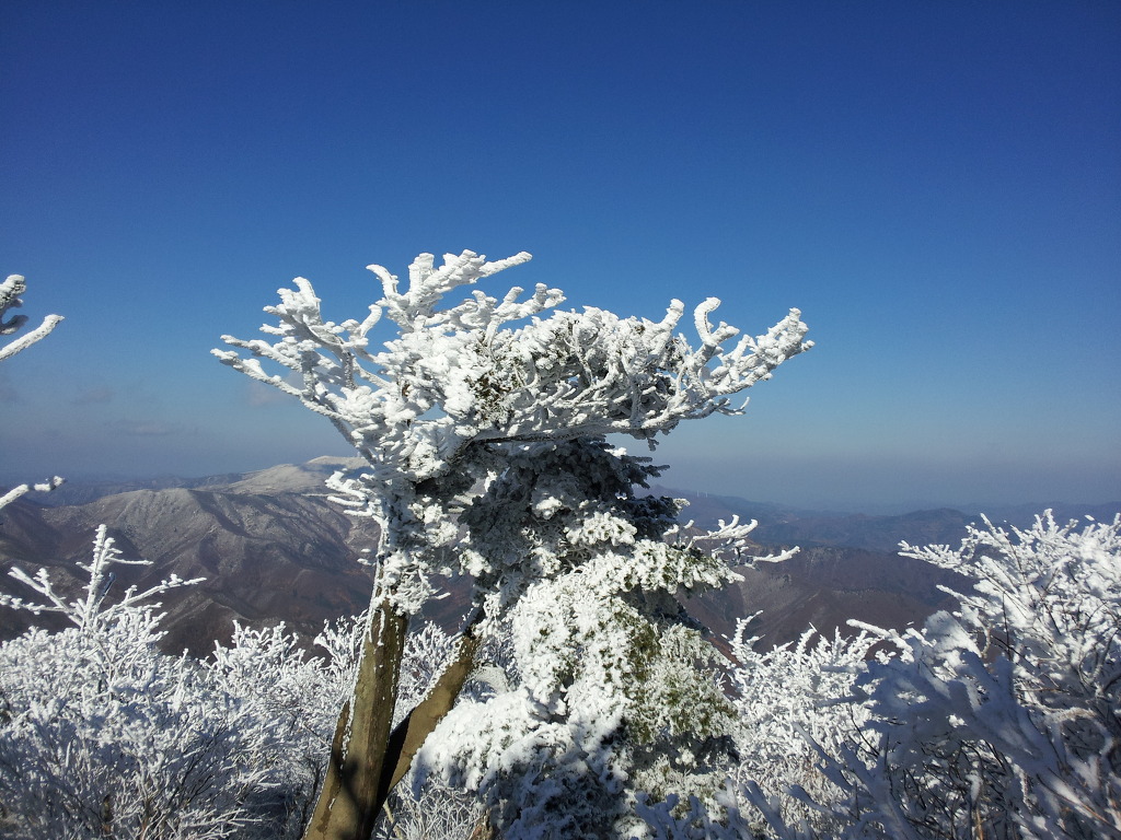 (주)태백산 이미지