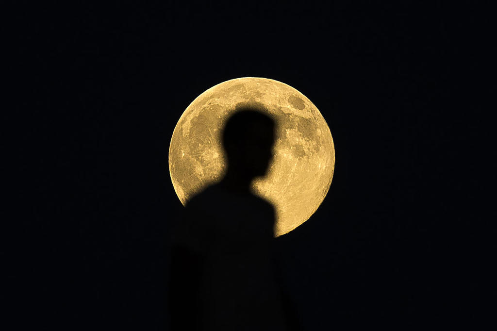 문MOON 이미지