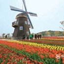순천만 민속 한옥 이미지