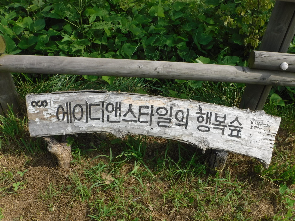 디앤아트플러스 이미지