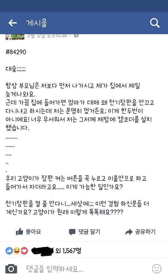 판사님 제가 한게 아니라 고양이가 했습니다 | 인스티즈