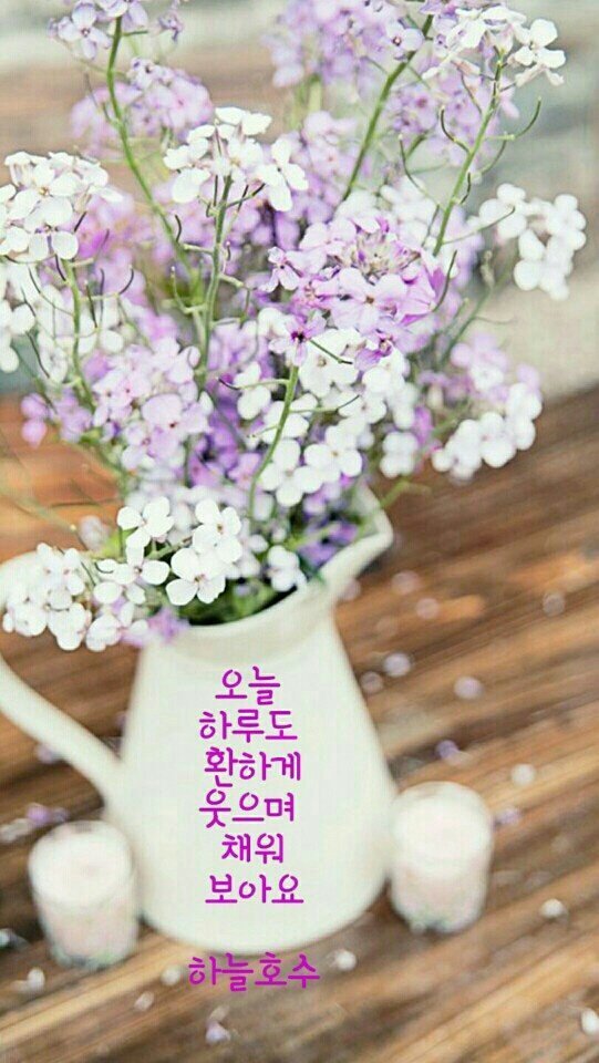 꽃잎 이미지