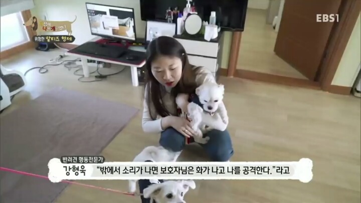공격적인 반려견이 되는 이유 2부.jp | 인스티즈