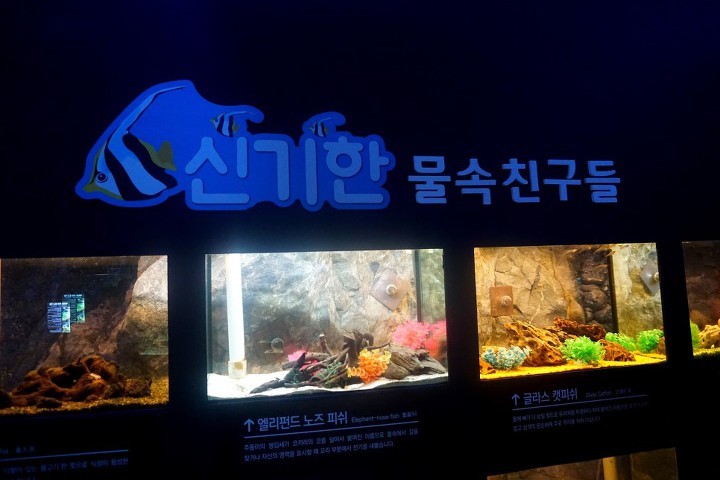 (주)광명관광 이미지