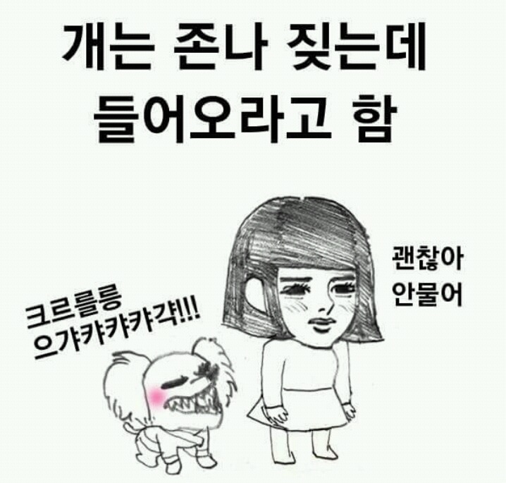 개키우는 친구집갔을때 ㅇ | 인스티즈
