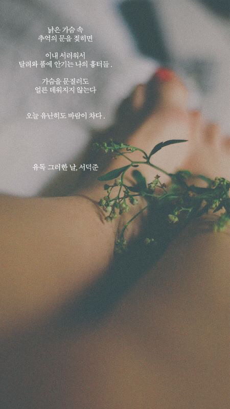주민1이 좋아하는 서덕준 시 배경화면 모음 | 인스티즈