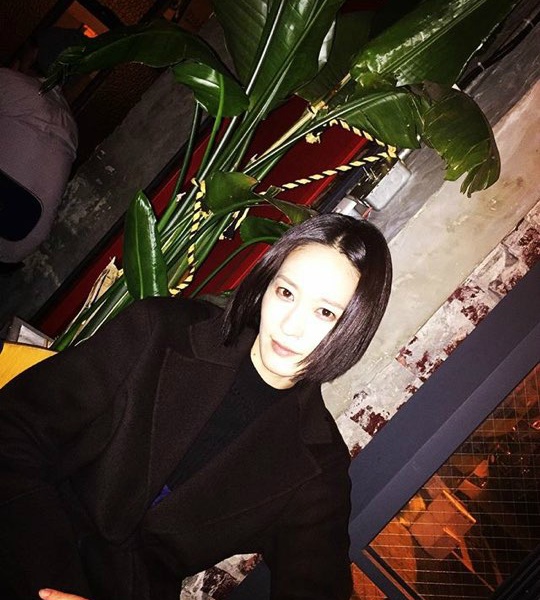 크리스탈 안닮은 모델 이영진 | 인스티즈