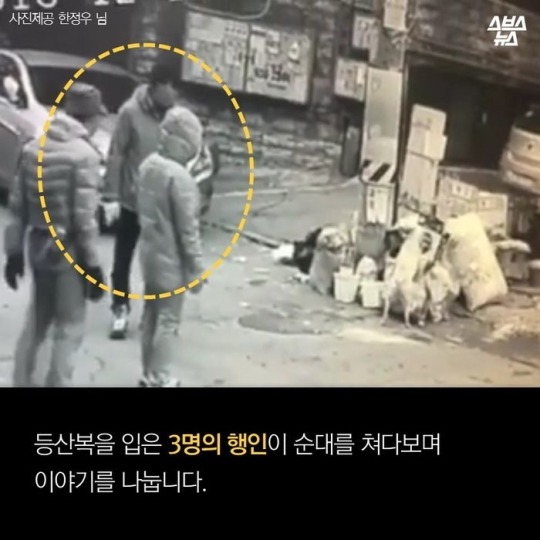  제 강아지가 잡아먹혔습니다 | 인스티즈
