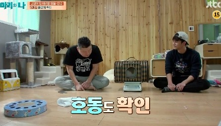 [마리와나] 뚱보냥 호동이 다이어트 시키기 (feat.먼지) | 인스티즈