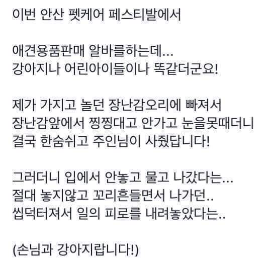 애나 강아지나... | 인스티즈