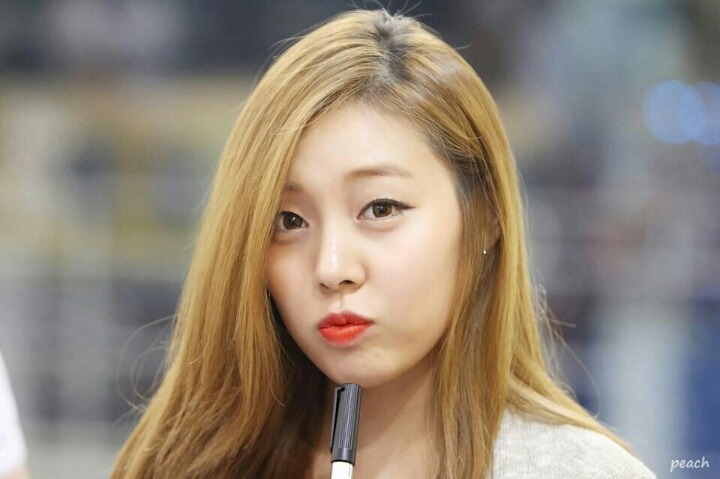 슐리 이미지