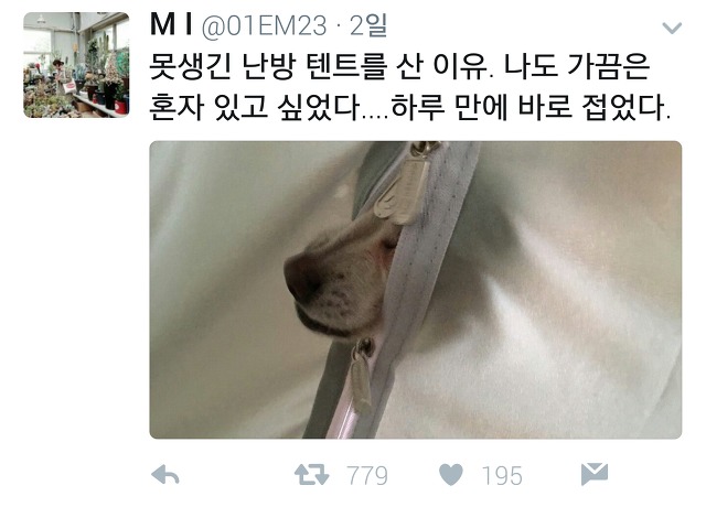  다시 돌아온 트위터 아무말대잔치33333.twt | 인스티즈