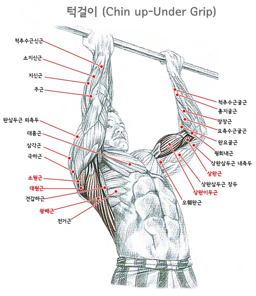 턱걸이 좀 하는 사람들 .jpg | 인스티즈
