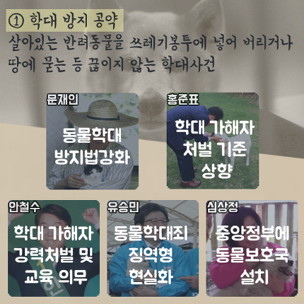 대선후보 5인의 반려동물 공약 | 인스티즈