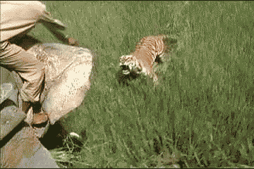오금이 지리는 짤.GIF | 인스티즈