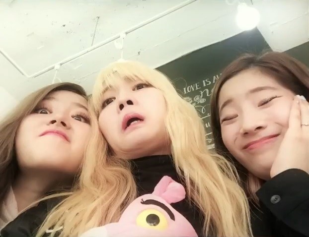 비글미 넘치는 트와이스.jpgif | 인스티즈