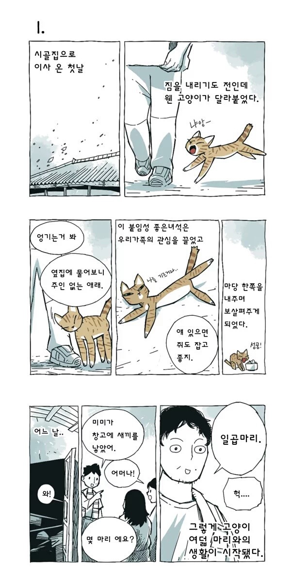 고양이 여덟마리와 사는만화 | 인스티즈