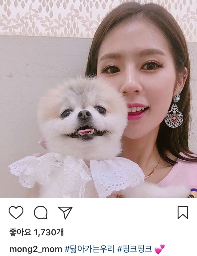 박기량 멍뭉이 | 인스티즈
