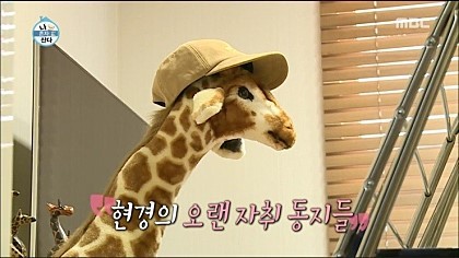 엄현경 기린좋아하는게 컨셉이아닌이유 | 인스티즈