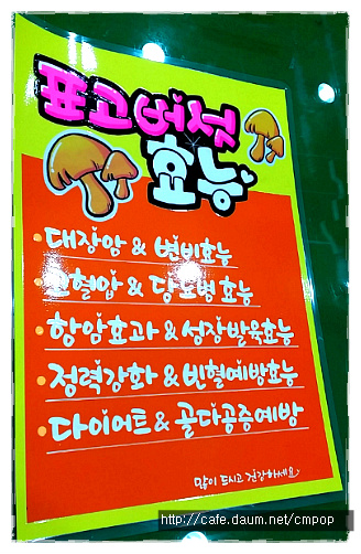 세종피오피 이미지