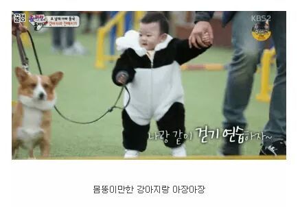 질투쟁이 대박이 | 인스티즈