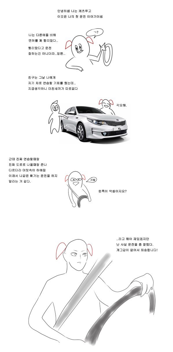 운전 초기에 고속도로를 타면 안되는이유 | 인스티즈