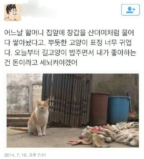 고양이의 보은 | 인스티즈