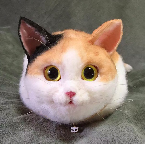 고양이 가방 | 인스티즈