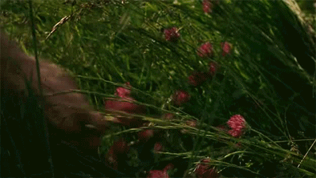 [영화] 색감 이쁜걸로 유명한 마리 앙투아네트.jpgif | 인스티즈