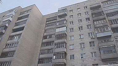 여러가지 흥미롭고 신기한 짤 | 인스티즈