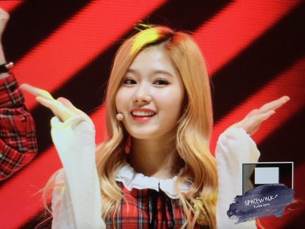 트와이스 사나 최근.jpg | 인스티즈