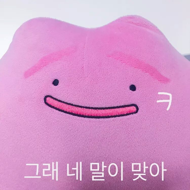 반디 이미지