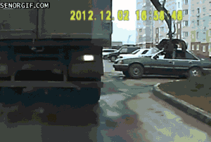 불곰국의 흔한 상남자들.gif | 인스티즈