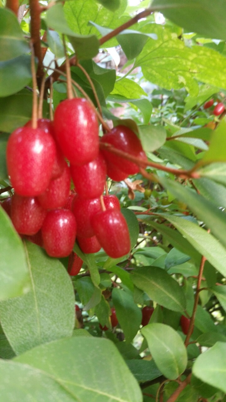 봉순네일 이미지